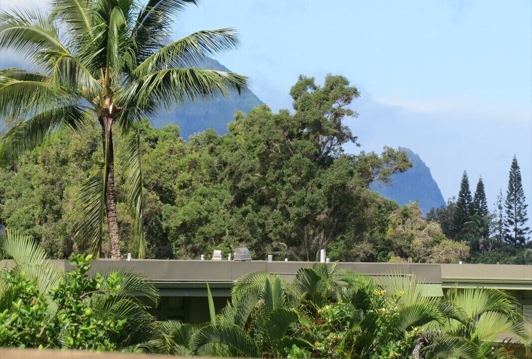 Photo of Outdoor in Queen Emmas Bluffs