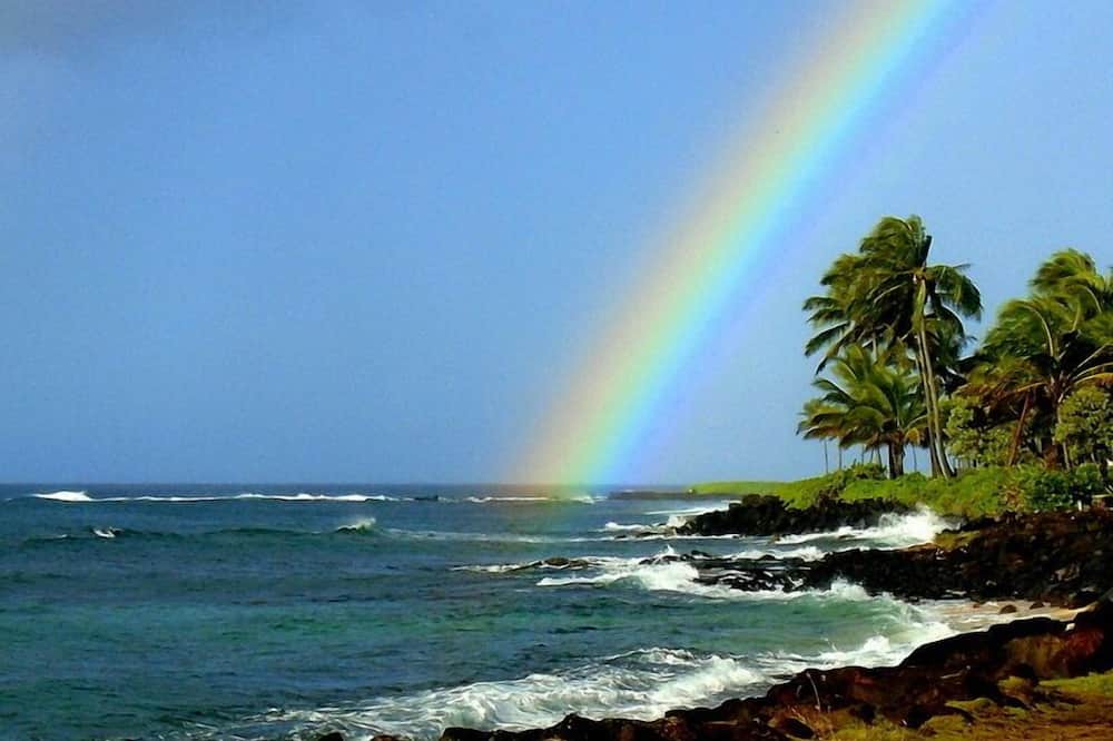 Photo of Others in Poipu