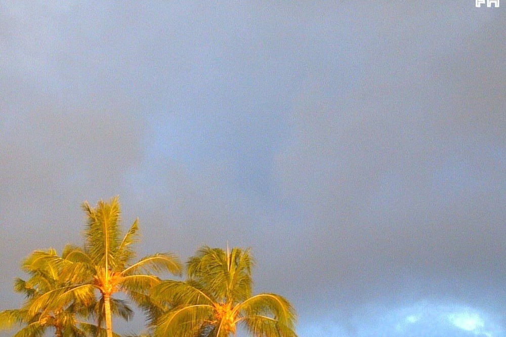 Photo of Others in Poipu