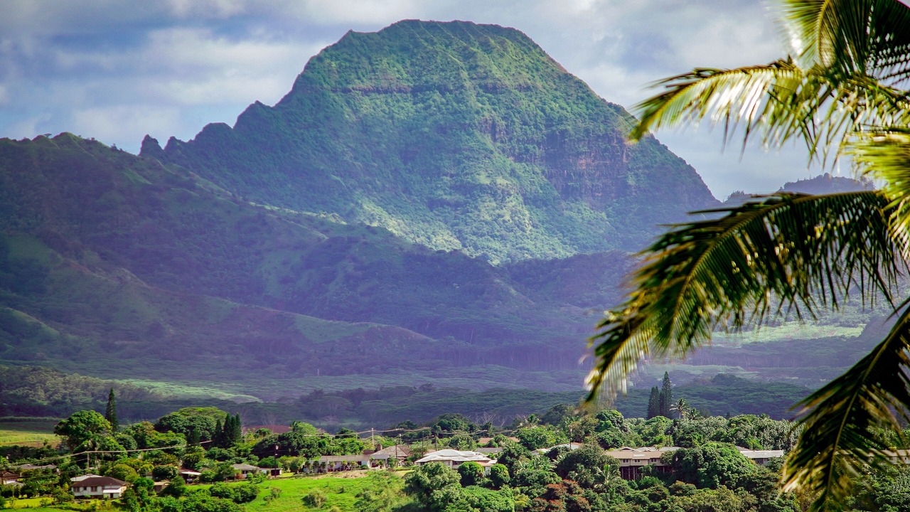 Photo of Others in Kalaheo