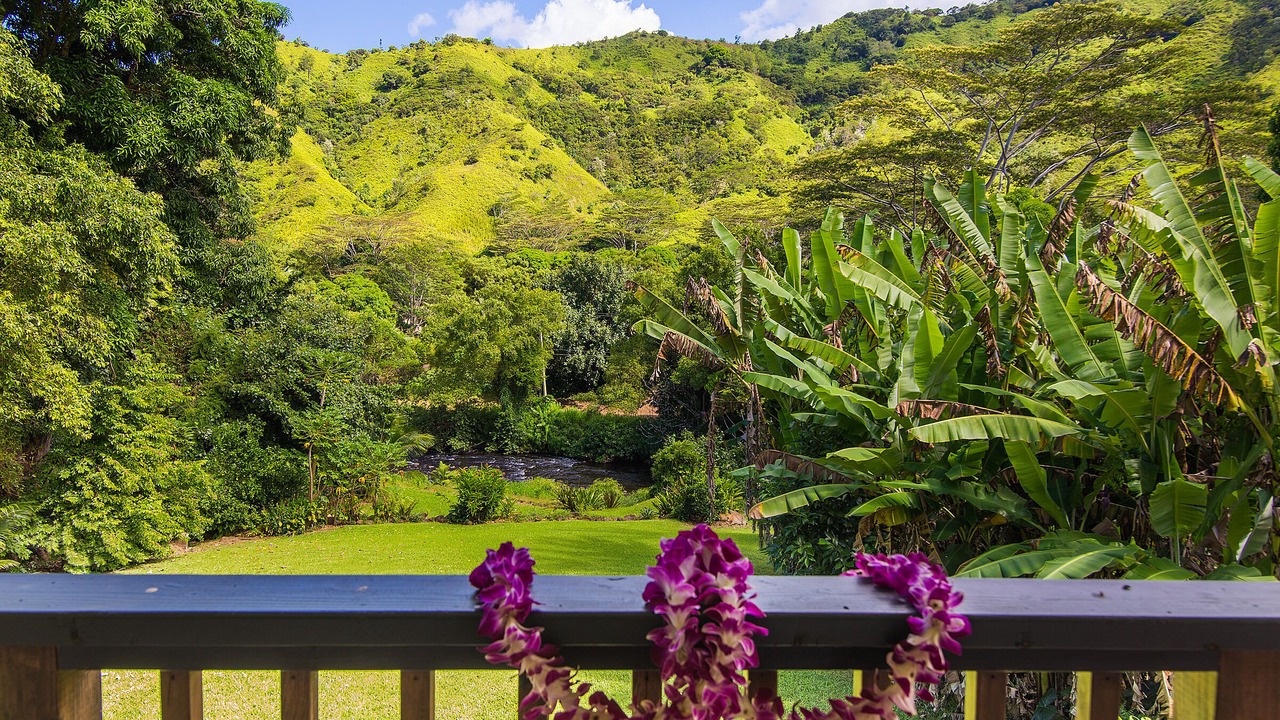 Photo of Outdoor in Wainiha