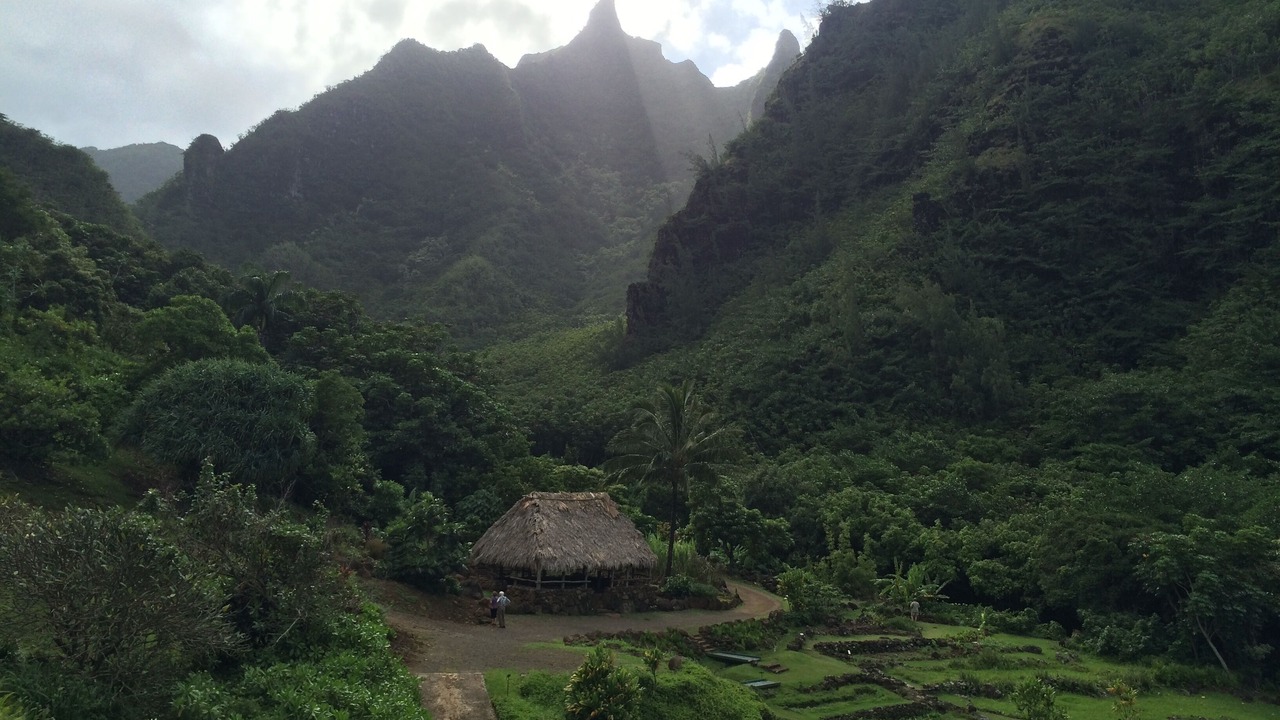 Photo of Others in Wainiha