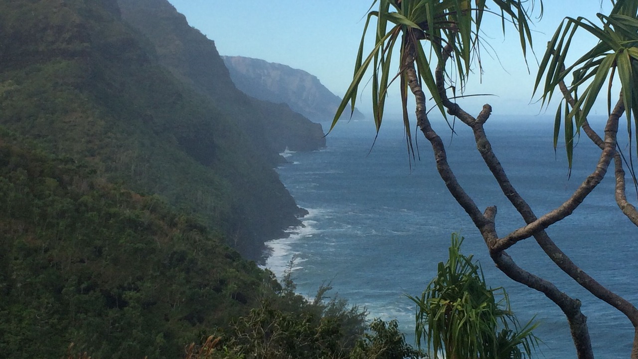 Photo of Others in Wainiha