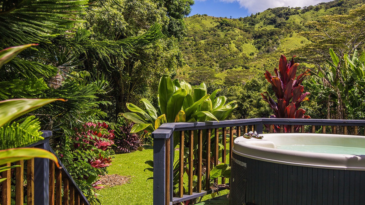 Photo of Outdoor in Wainiha