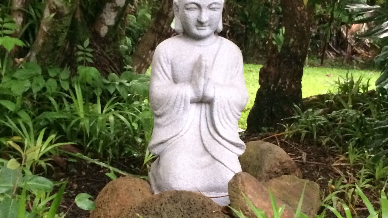 Photo of Outdoor in Wainiha