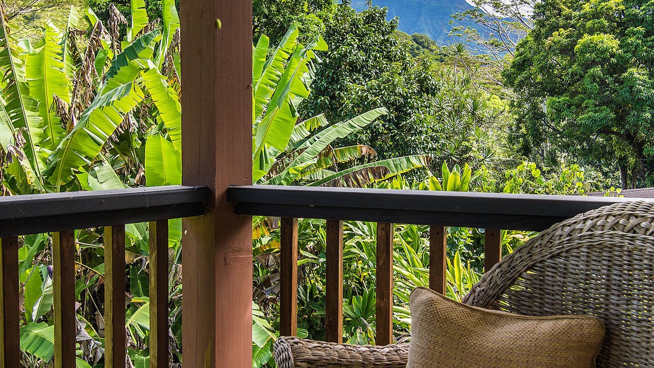 Photo of Outdoor in Wainiha
