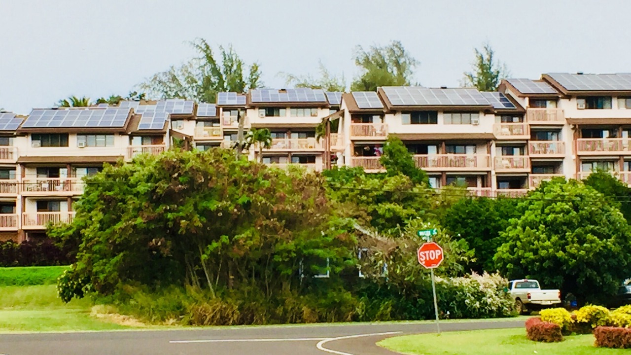 Photo of Outdoor in Nawiliwili
