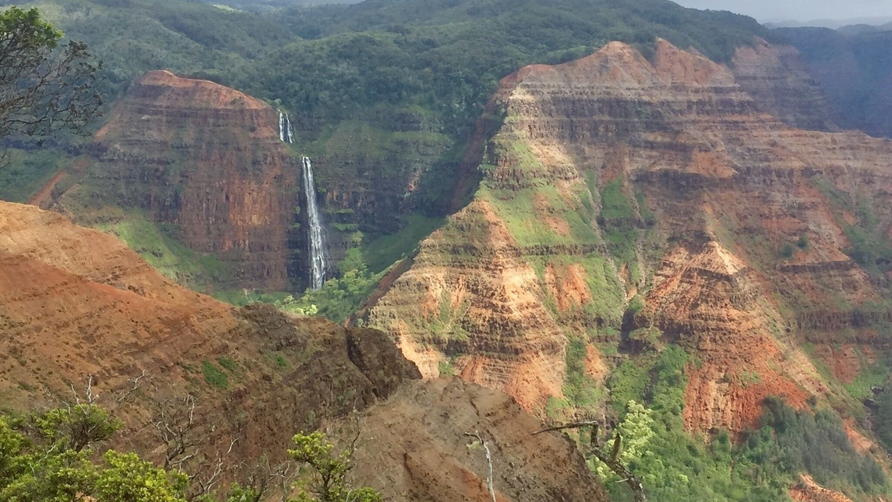 Photo of Outdoor in Nawiliwili
