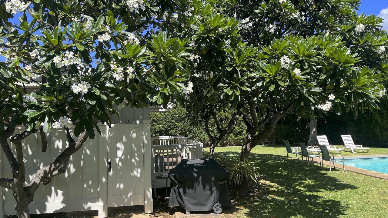 Photo of Outdoor in Kekaha