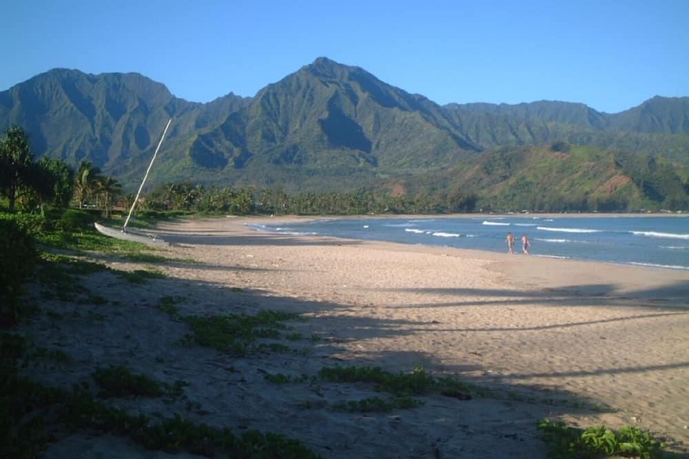 Photo of Others in Hanalei Palms