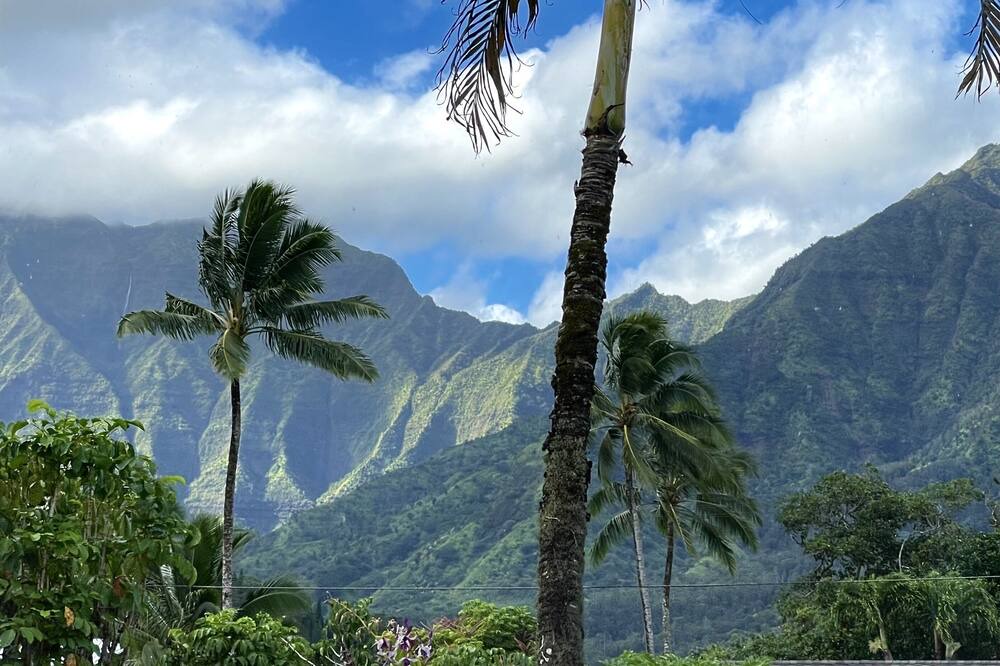 Photo of Others in Hanalei Palms