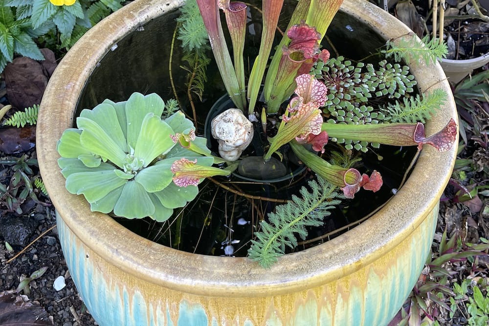 Photo of Outdoor in Hanalei Palms