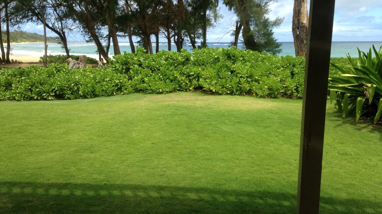 Photo of Outdoor in Anahola