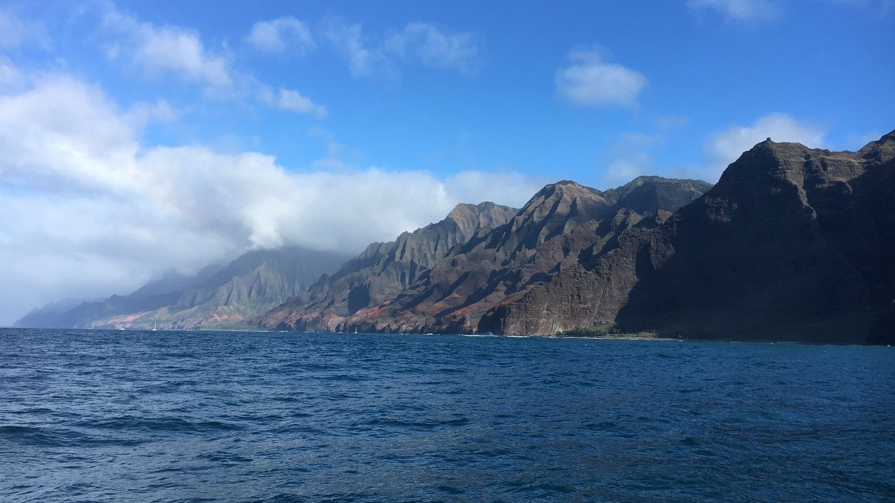 Photo of Others in Waimea