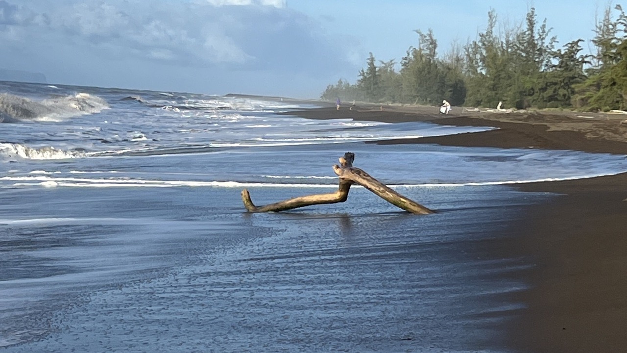 Photo of Others in Waimea