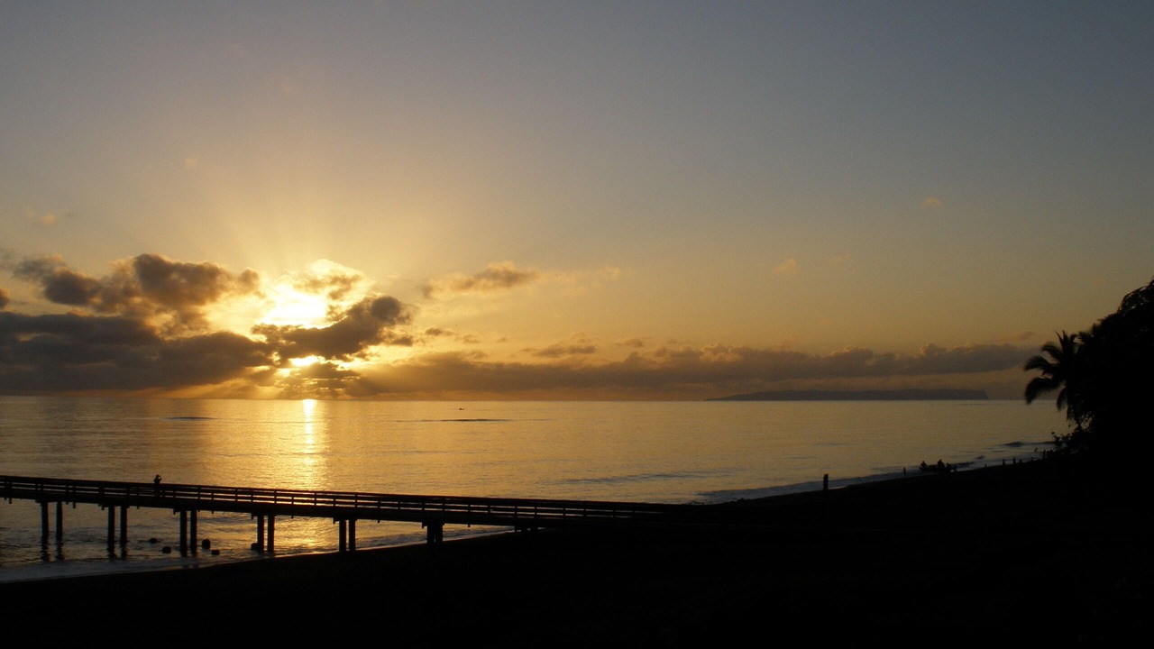 Photo of Others in Waimea