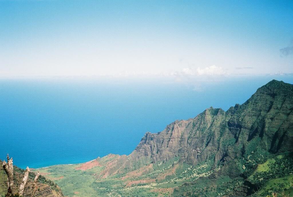 Photo of Others in Waimea