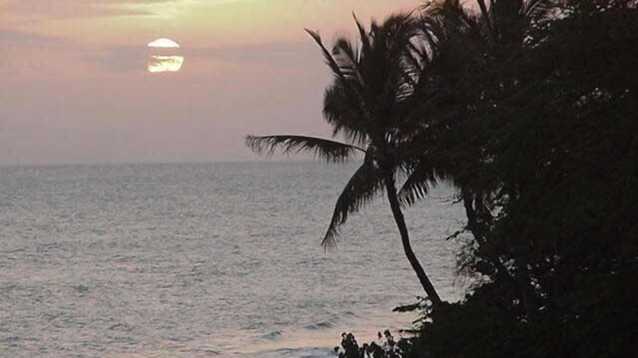 Photo of Others in Waimea