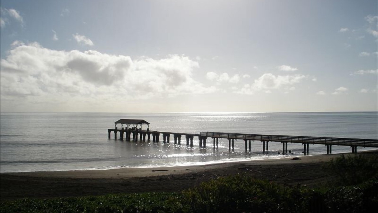 Photo of Others in Waimea