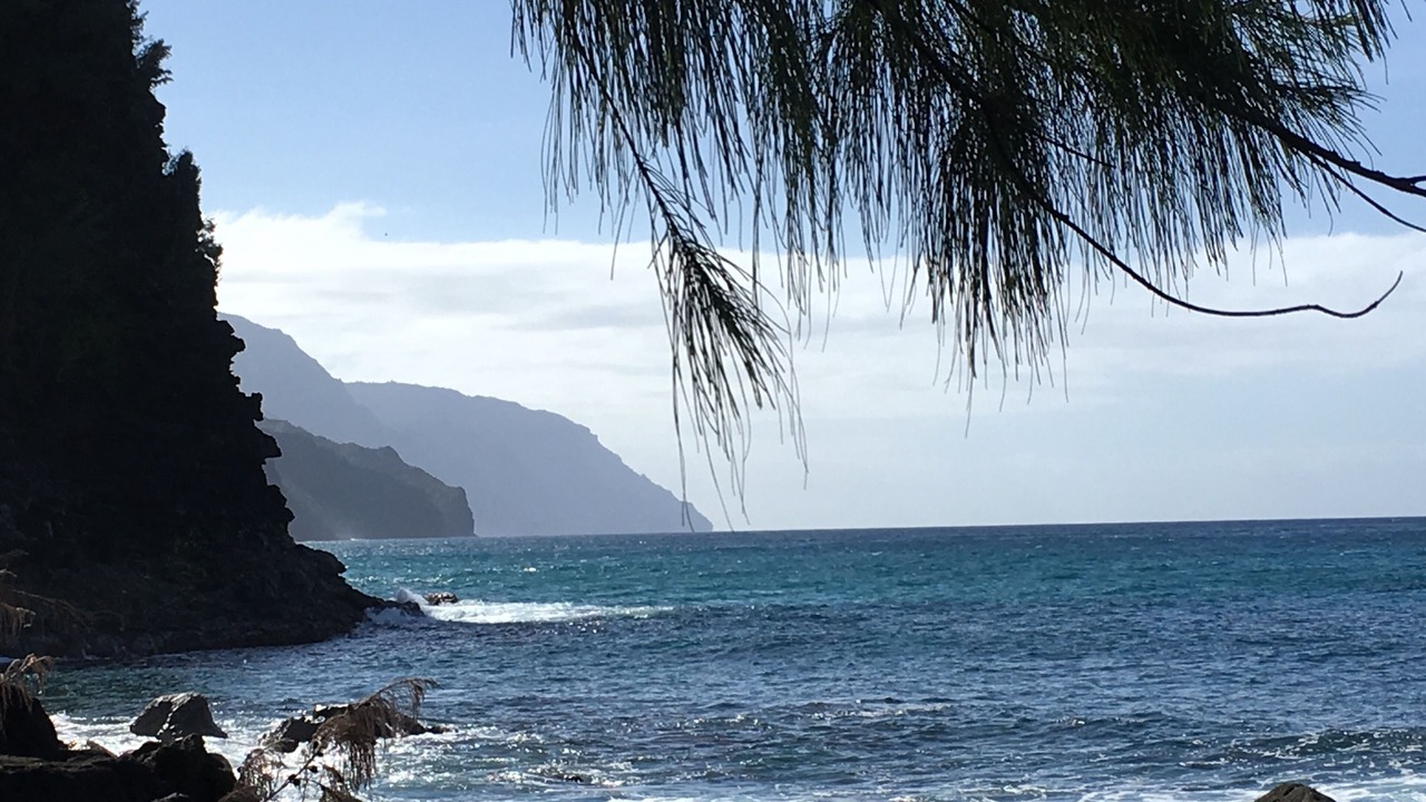 Photo of Others in Waimea