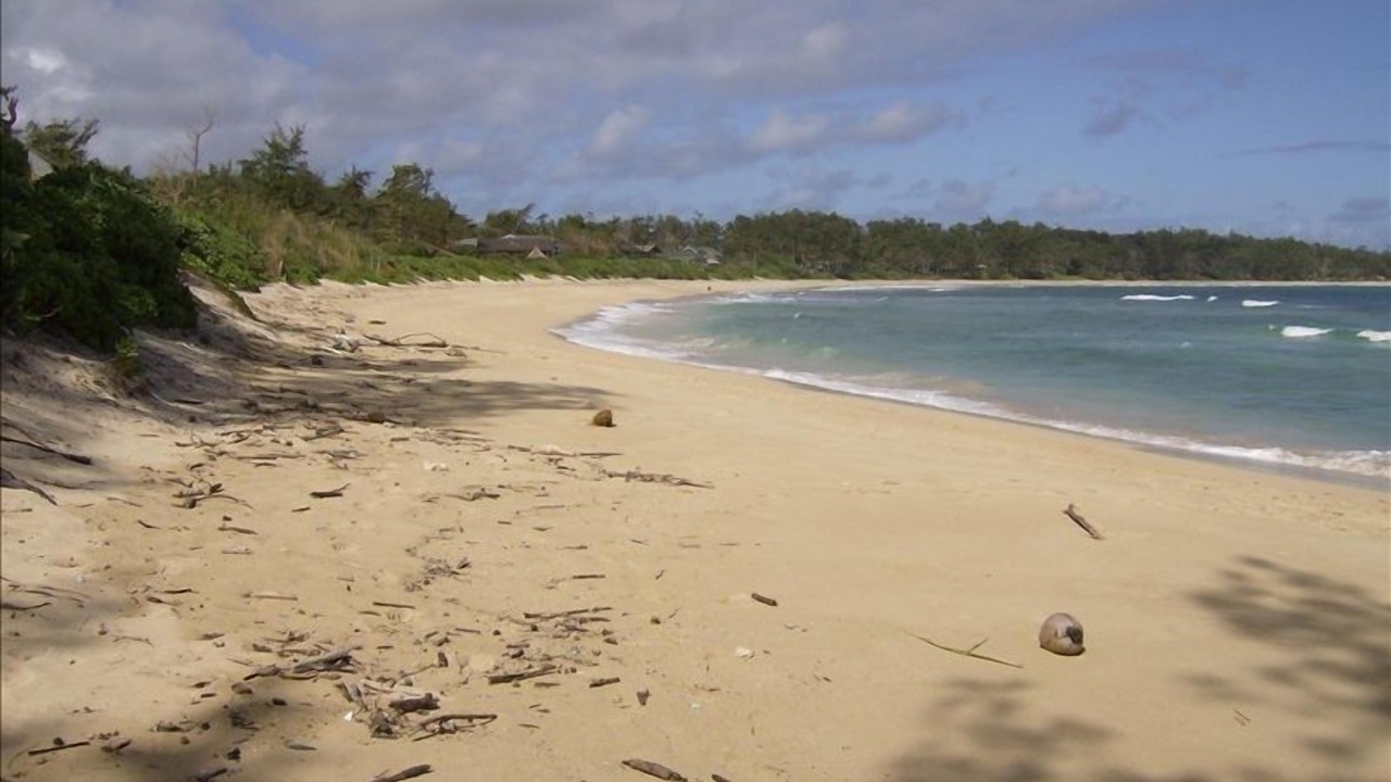 Photo of Others in Laie