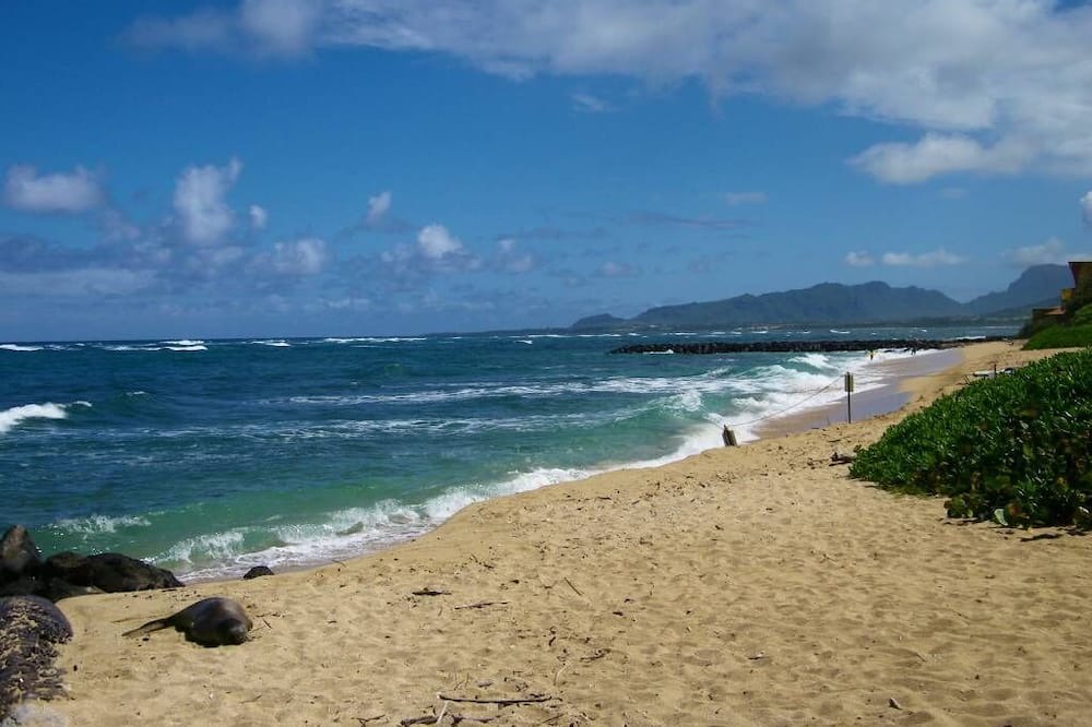 Photo of Others in Wailua