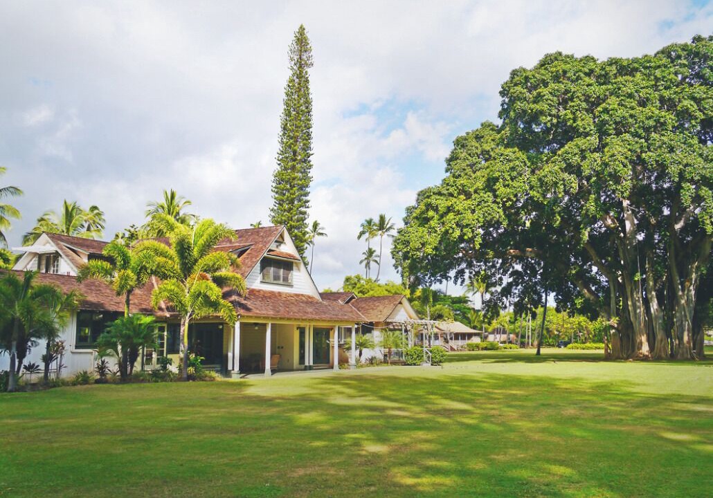 Photo of Outdoor in Waimea