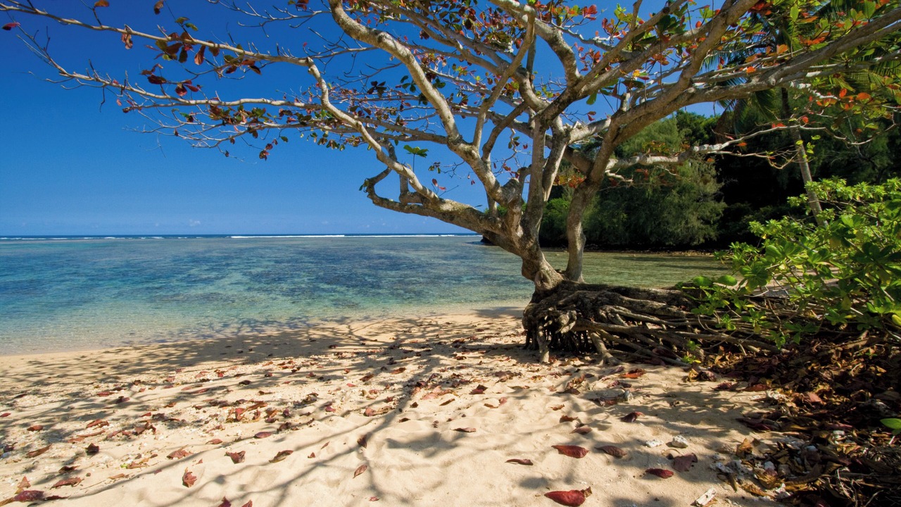 Photo of Outdoor in Princeville