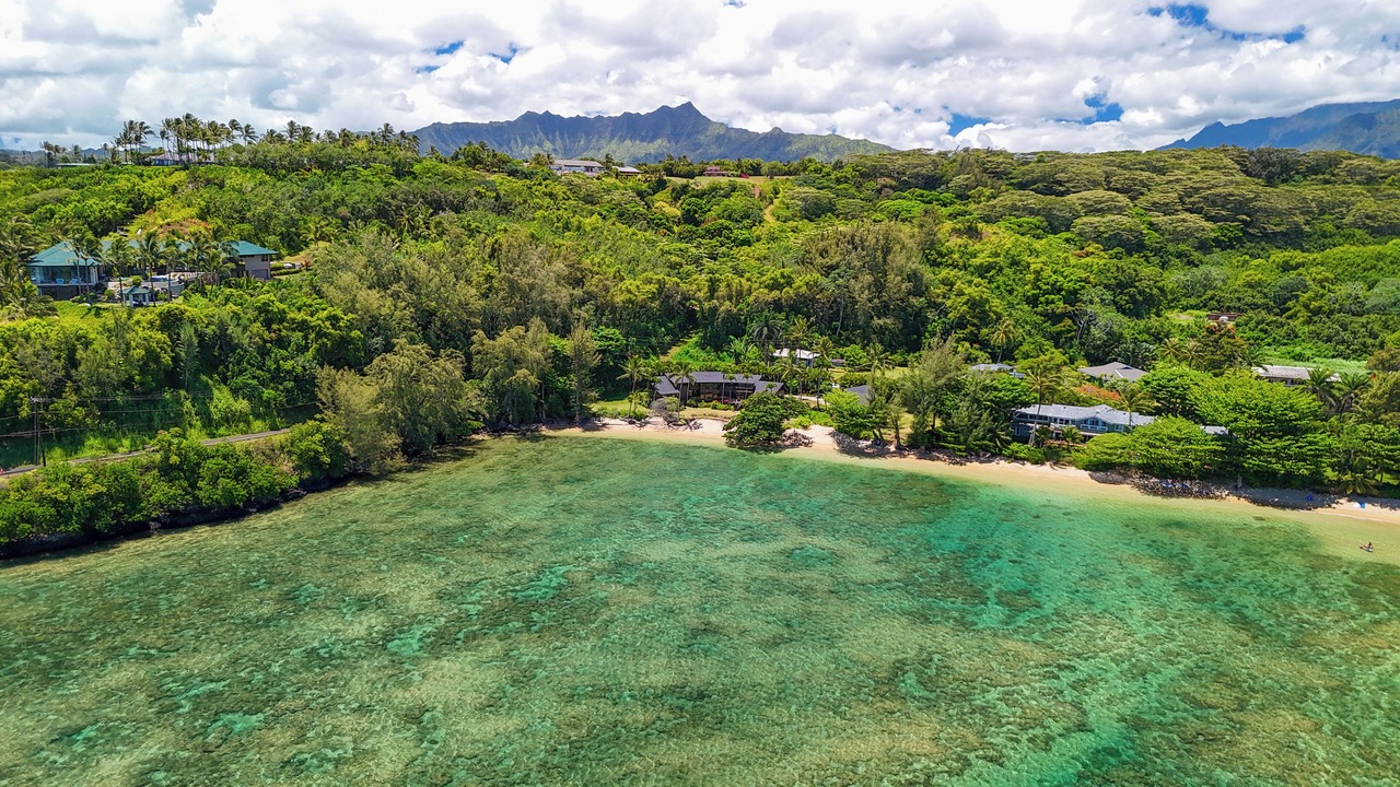Photo of Outdoor in Princeville