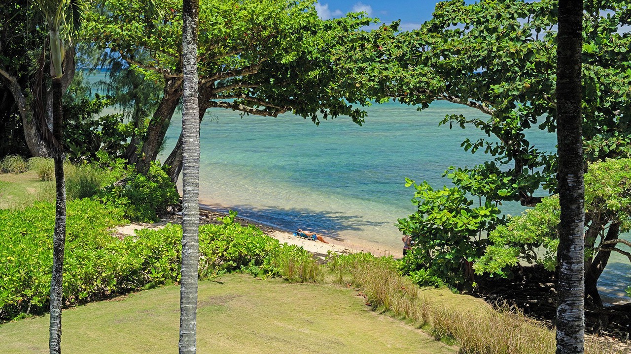 Photo of Outdoor in Princeville