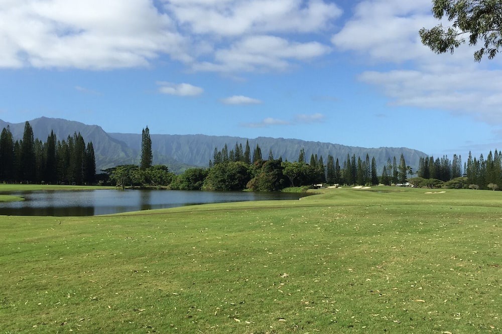 Photo of Others in Princeville