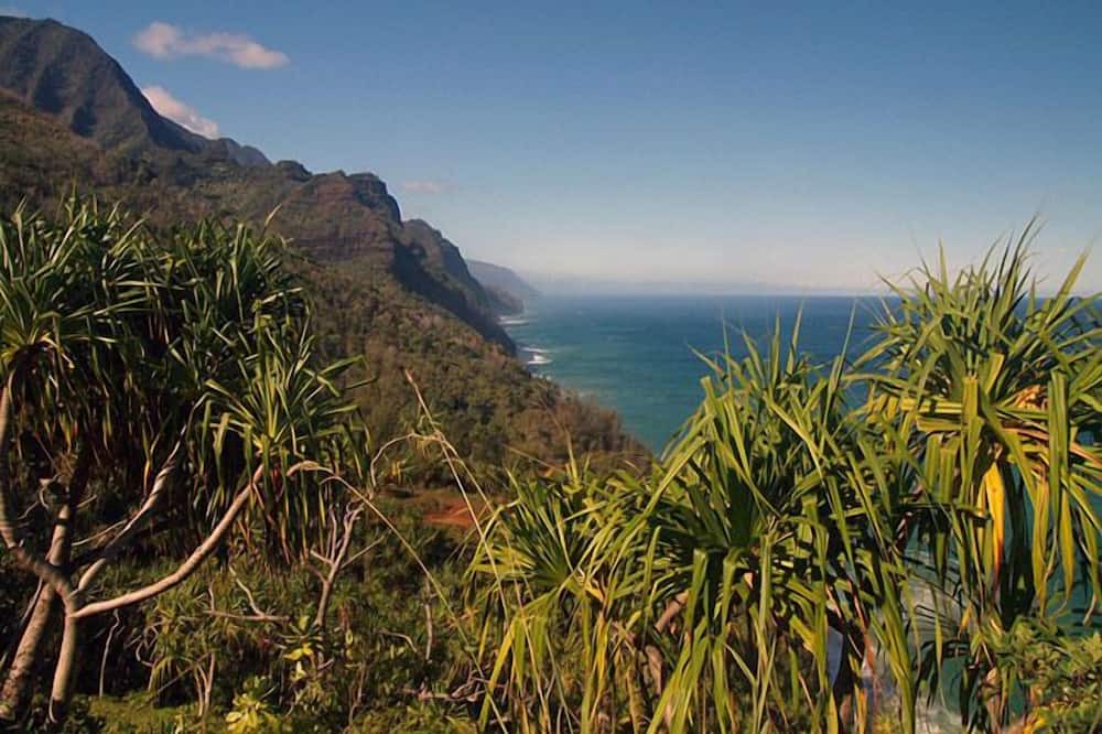 Photo of Others in Princeville