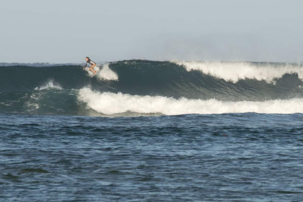 Photo of Others in Princeville