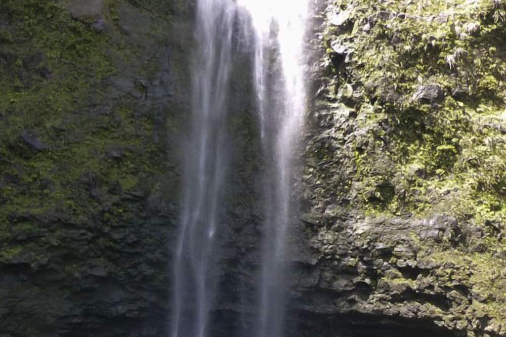 Photo of Others in Princeville
