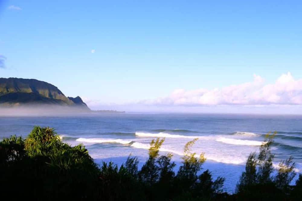 Photo of Others in Princeville