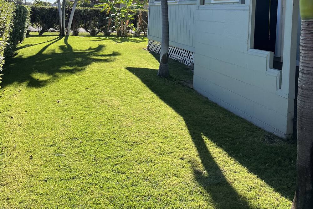 Photo of Others in Kekaha