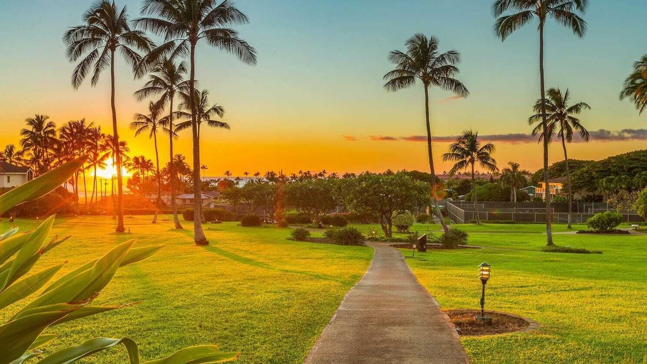 Photo of Outdoor in Poipu