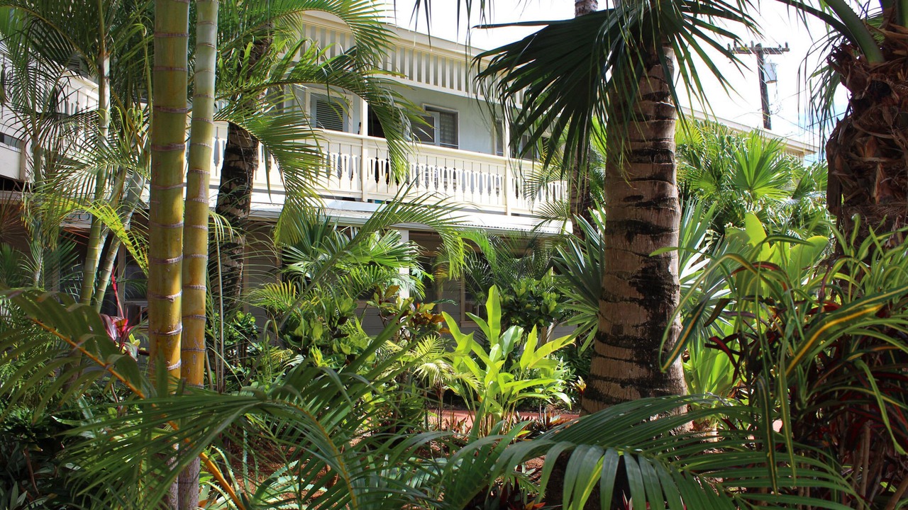 Photo of Outdoor in Lihue