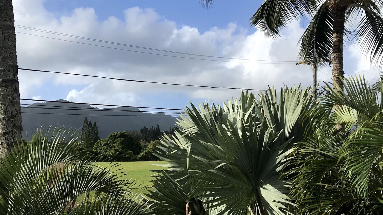 Photo of Outdoor in Lihue