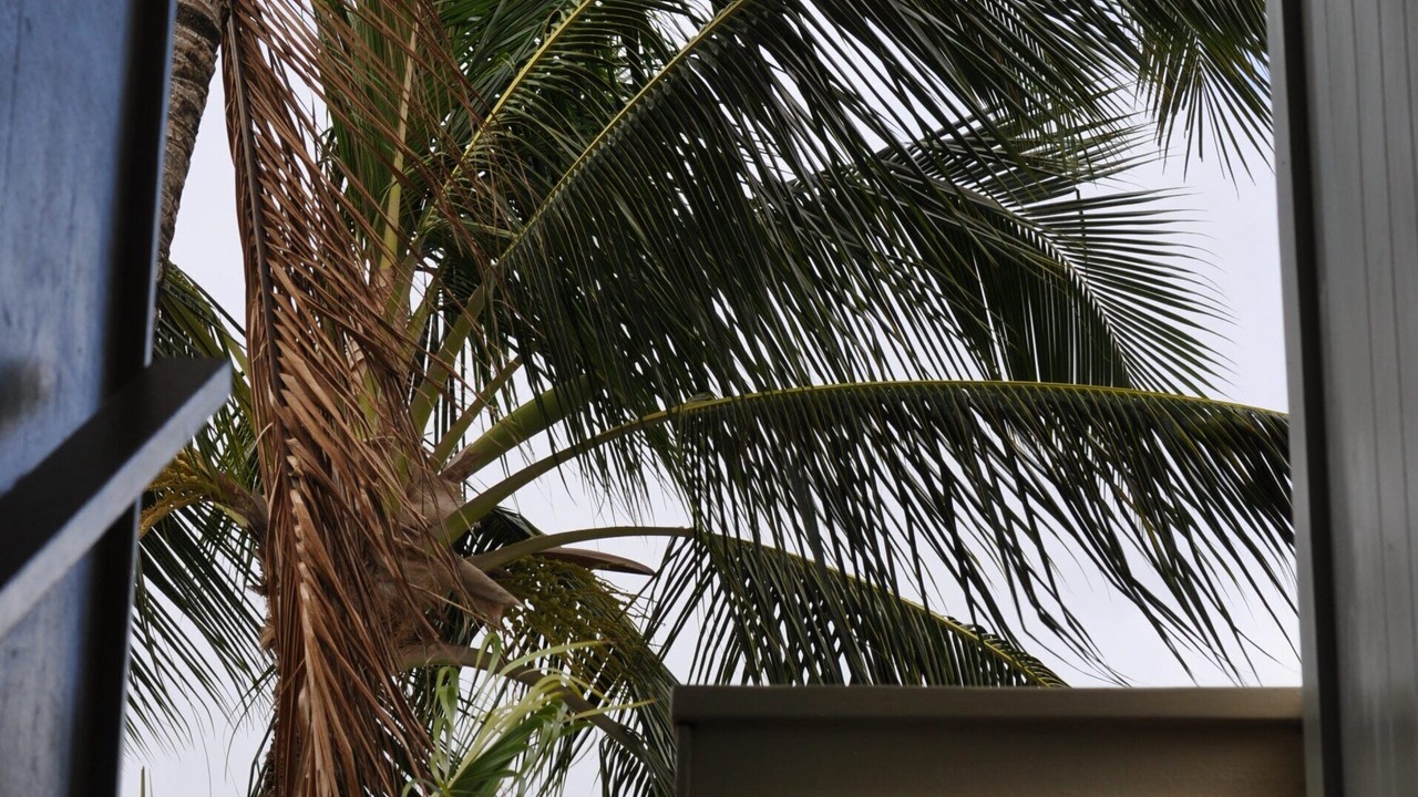 Photo of Others in Lihue