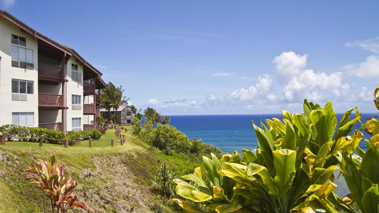 Photo of Others in Princeville