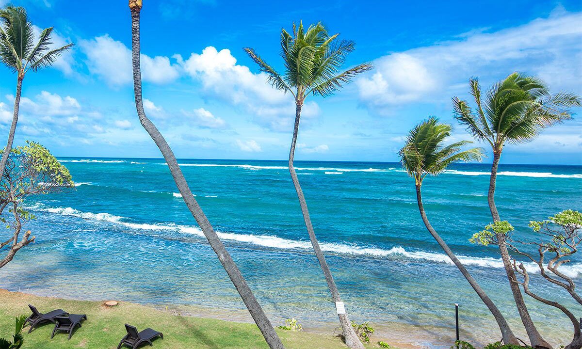 Photo of Others in Wailua