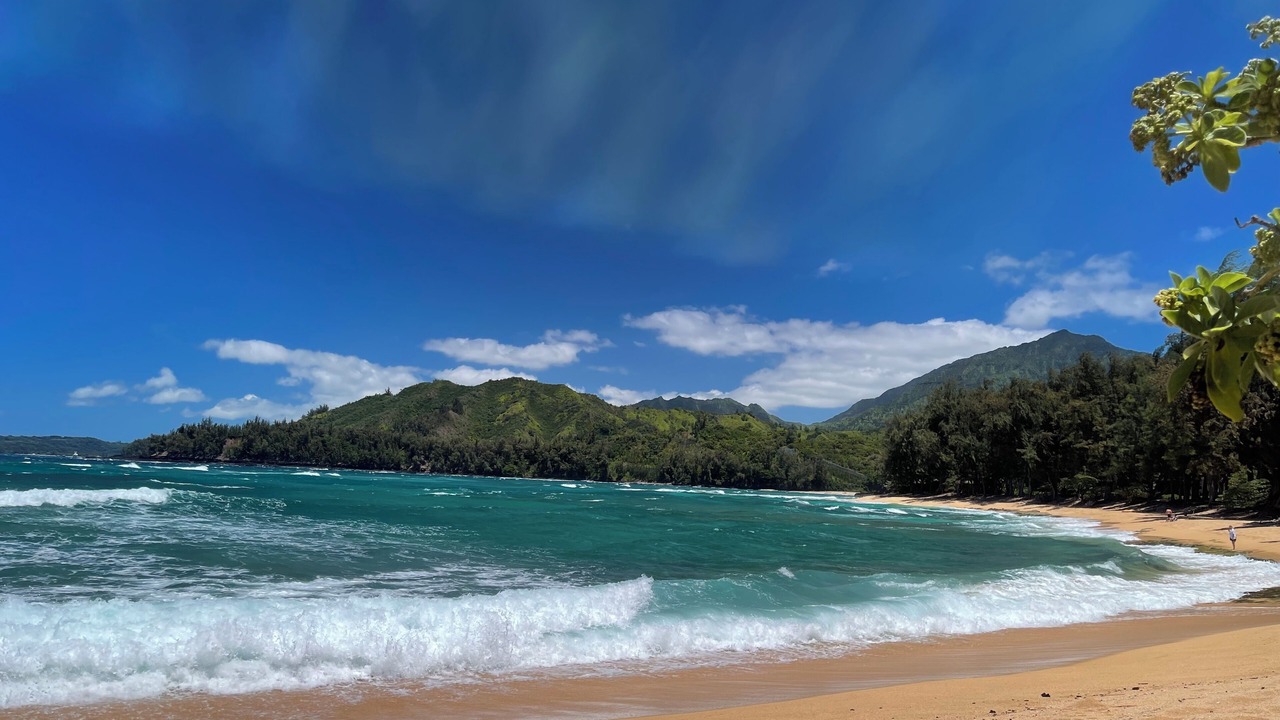 Photo of Others in Wainiha