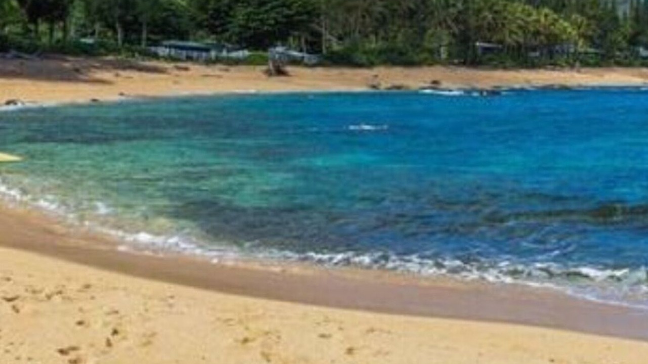 Photo of Others in Wainiha