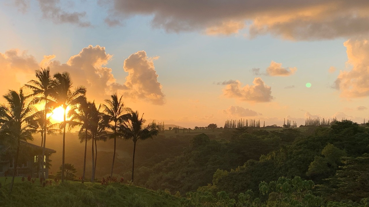 Photo of Others in Princeville