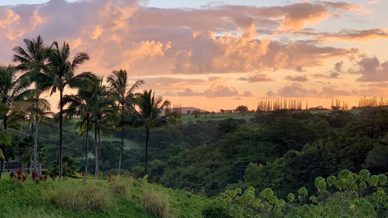 Photo of Others in Princeville