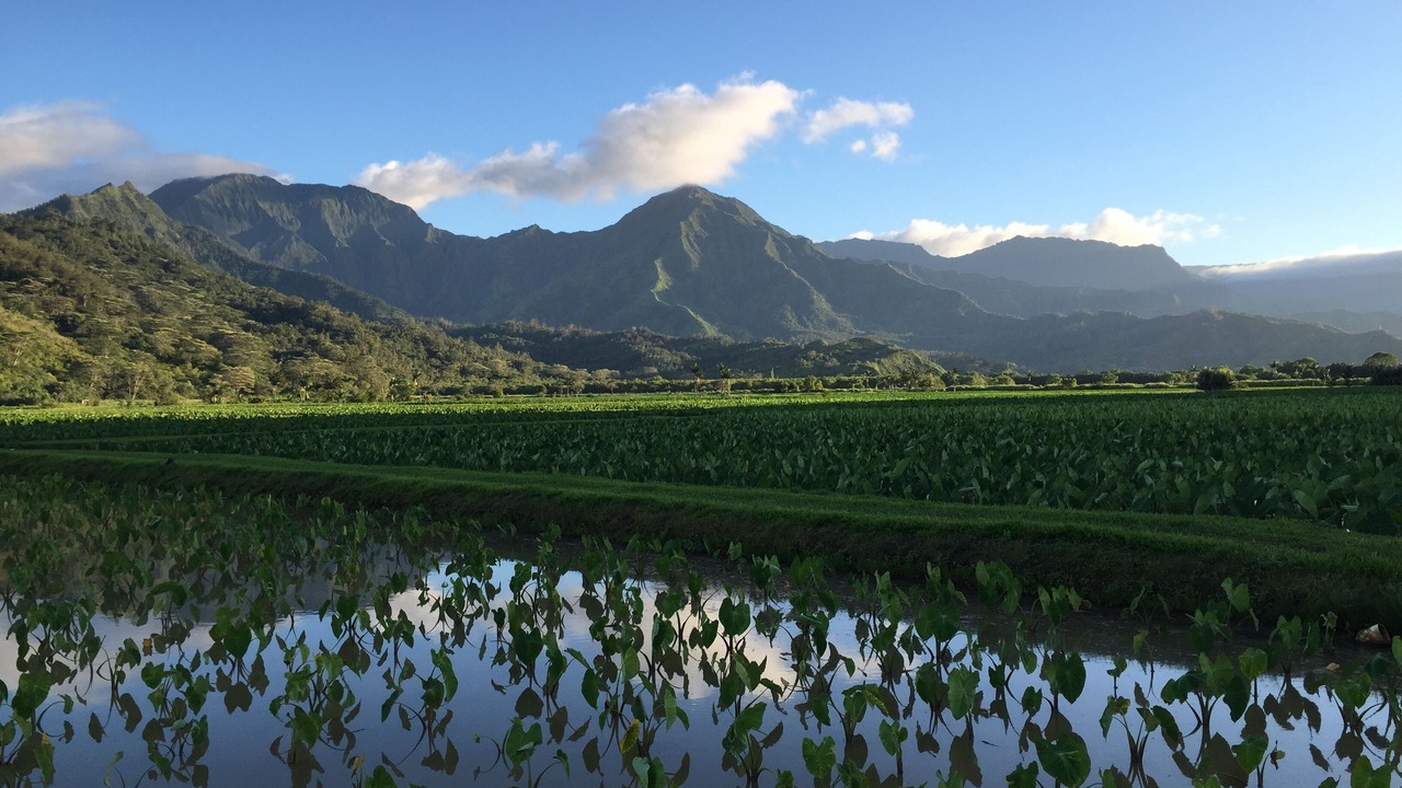 Photo of Outdoor in Princeville