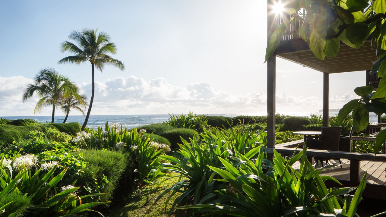 Photo of Bedroom in Wainiha