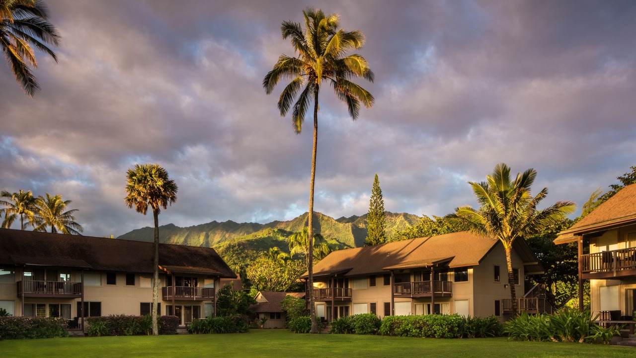 Photo of Outdoor in Wainiha