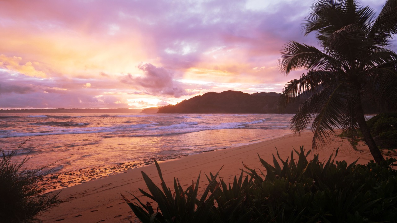 Photo of Others in Wainiha